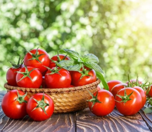 Một ngày nên ăn mấy quả cà chua là đủ?