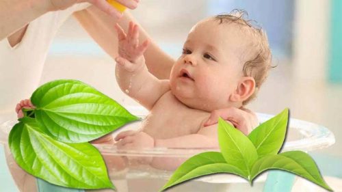 Tắm lá có tính chất làm mát và làm dịu da, giúp giảm sưng tấy và phát ban trên da của trẻ.