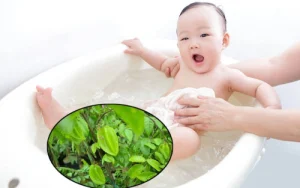 nổi mề đay ở trẻ em tắm lá gì